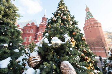 Kızıl Meydan Noel ağacına