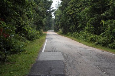 Her iki tarafında ağaçlar ve çalılar olan uzun düz bir yol. Seçici odak noktaları