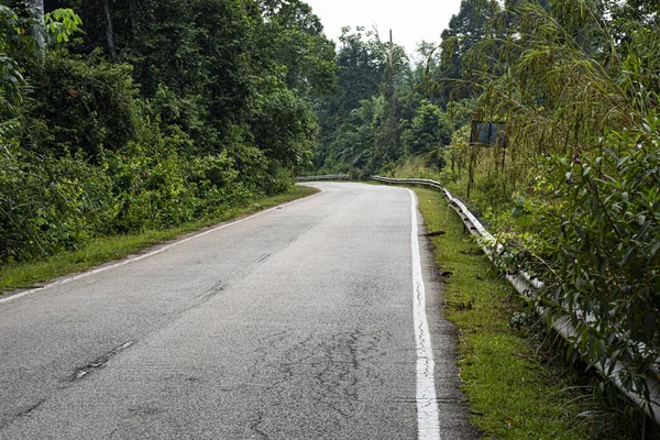 Una Strada Isolata Con Una Curva Alla Fine Alberi Cespugli — Foto Stock