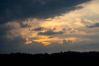 Ufukta ağaçlar ve uçan tek bir kartalla akşam gökyüzünü seyret. Seçici odak noktaları