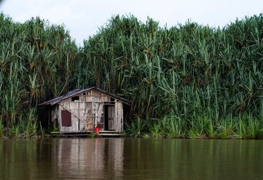 Gölün sakin sularında Pandanus ağaçlarıyla çevrili geleneksel bir kulübe. Seçici odak noktaları