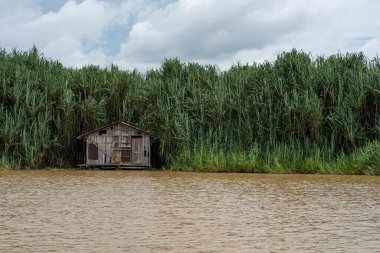 Gölün sakin sularında Pandanus ağaçlarıyla çevrili geleneksel bir kulübe. Seçici odak noktaları
