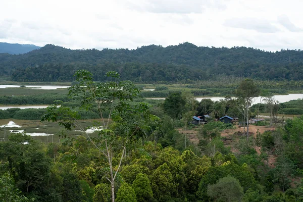 Aerial View Small Settlement Indigenous People Bank Lake Chini Pahang — 图库照片