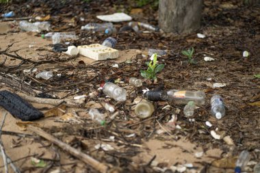 Port Dickson, Malezya: 20 Kasım 2021 - Hurda plajda çevre için zararlı bulundu. Bulanık önplan ve arkaplan.