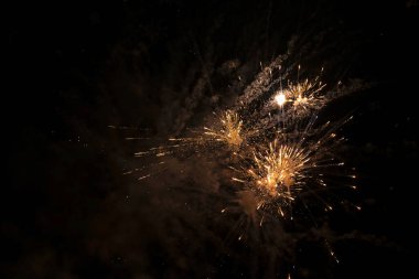 Display of colourful fireworks with black sky as background