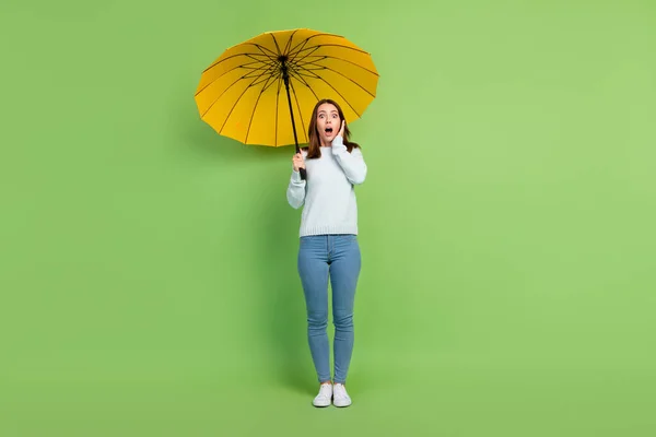 Foto de larga duración de la joven morena asustada con paraguas desgaste jersey jeans zapatillas aisladas sobre fondo verde — Foto de Stock