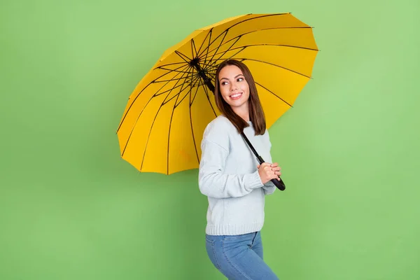 Profilfoto von optimistischen Millennial Brünette Dame mit Regenschirm-Look tragen blauen Pullover isoliert auf grünem Hintergrund — Stockfoto