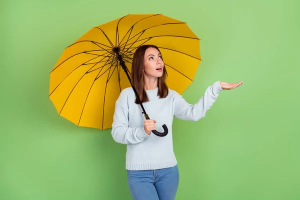 Foto von beeindruckt Millennial Brünette Dame mit Regenschirm tragen blauen Pullover isoliert auf grünem Hintergrund — Stockfoto