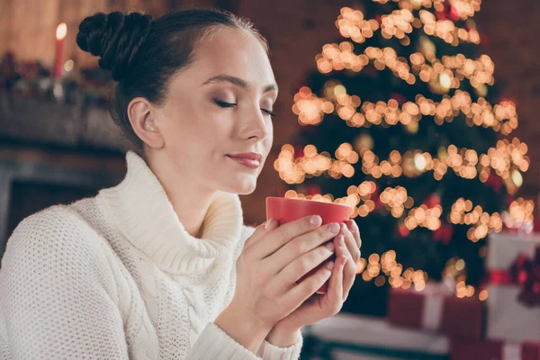 Προφίλ πλευρά φωτογραφία του νεαρού κοριτσιού χαρούμενο θετικό χαμόγελο υπόλοιπο χαλαρώστε διάλειμμα ποτό ζεστό κακάο eggnog Χριστούγεννα σε εσωτερικούς χώρους — Φωτογραφία Αρχείου