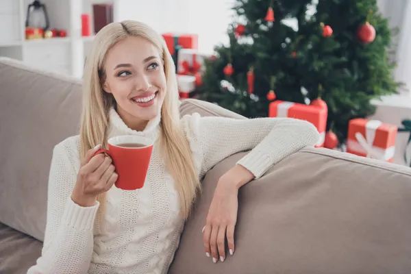 Photo de heureux rêve charmant jeune femme sourire assis canapé noël tenir main tasse de café à l'intérieur de la maison — Photo