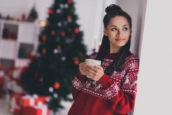 Porträtt av attraktiv drömmande glad flicka dricka kakao njuter festlig dag dagdröm vila christmastime hemma inomhus — Stockfoto