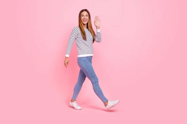 Perfil de corpo inteiro foto de maduro bonito marrom penteado senhora ir onda desgaste camisa jeans tênis isolado no fundo rosa — Fotografia de Stock