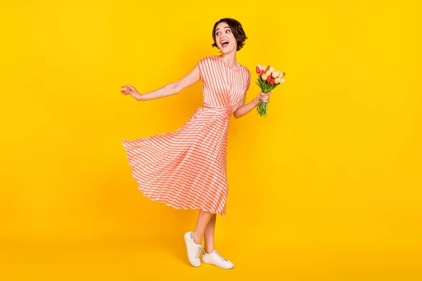 Full längd kroppsstorlek utsikt över härlig förvånad glad glad flicka som håller tulpaner har roligt gott humör isolerad över ljusa gula färg bakgrund — Stockfoto