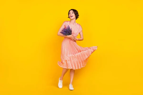 Фото прекрасной девушки держать букет цветов удивленный взгляд пустое пространство носить полосатое платье изолированный желтый цвет фона — стоковое фото