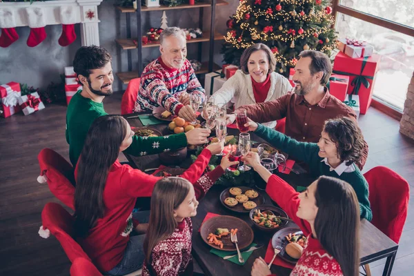 Foto ritratto famiglia bere champagne succo clinking bicchieri dicendo brindisi a tavola in appartamenti decorati — Foto Stock