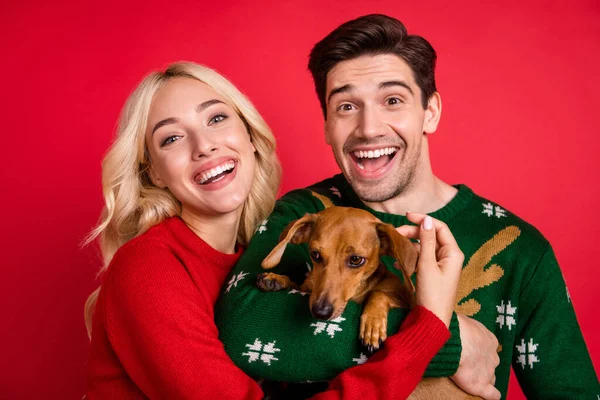 Foto retrato riendo pareja usando suéteres abrazando mantener poco amigo cachorro aislado vívido color rojo fondo —  Fotos de Stock