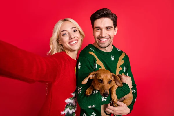 Фото довольно смешных молодых людей носить уродливые украшения пуловеры держа собаку запись видео изолированный красный цвет фона — стоковое фото
