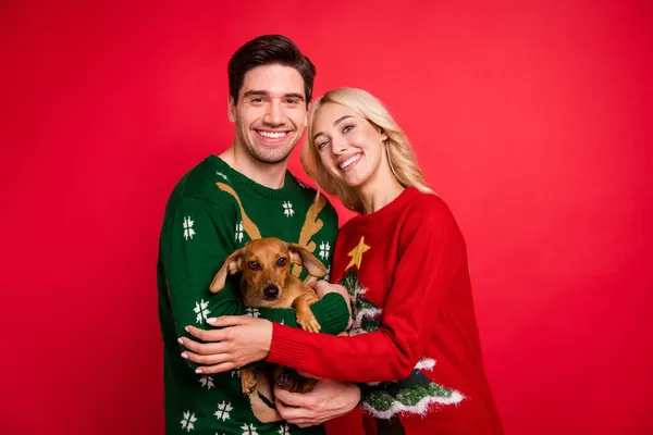 Photo portrait smiling couple wearing ugly sweaters embracing keeping little friend puppy isolated vivid red color background — Stock Photo, Image