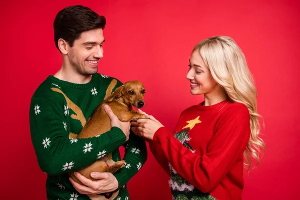 Foto de pareja joven linda brillante vestida suéteres adornos feos cogidos de la mano cachorro aislado color rojo fondo —  Fotos de Stock