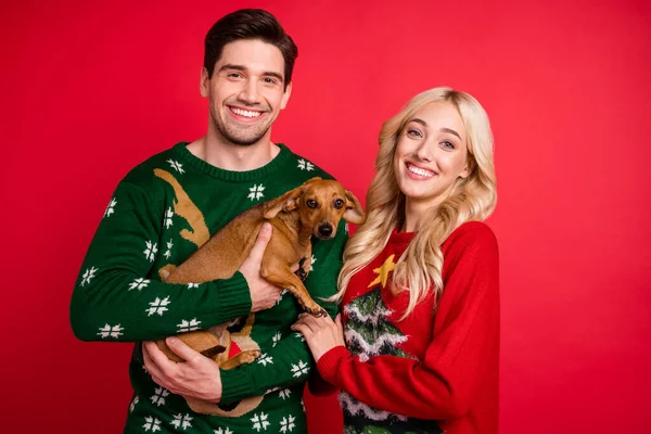 Foto retrato sonriente pareja con suéteres feos mantener cachorro marrón aislado vívido fondo de color rojo —  Fotos de Stock