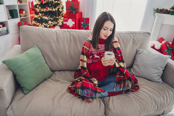Zdjęcie cute lady siedzieć wygodne kanapa pokrywa koc trzymać kubek ciepłe ręce nosić pullover w urządzone x-mas domu w pomieszczeniach — Zdjęcie stockowe