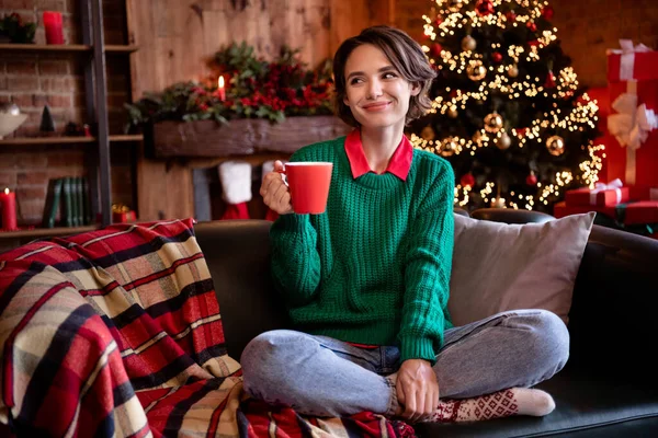 Foto de brilhante sonhador jovem senhora desgaste tricotado pulôver sorrindo desfrutando saboroso natal ale dentro de casa quarto casa — Fotografia de Stock