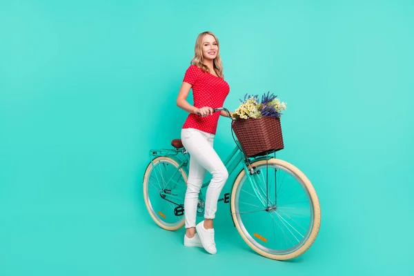 Comprimento total tamanho do corpo foto mulher mantendo bicicleta vintage flor cesta isolado vivo teal cor fundo — Fotografia de Stock