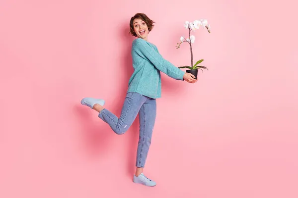 Pełna długość zdjęcie uroczy podekscytowany szczęśliwy pani trzymać pot kwiat uśmiech izolowany na pastelowy różowy kolor tła — Zdjęcie stockowe