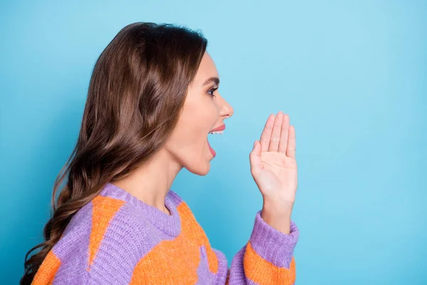 Foto sisi profil dari wanita muda yang menawan berpegangan tangan menceritakan rahasia berbicara terisolasi pada latar belakang warna biru pastel — Stok Foto