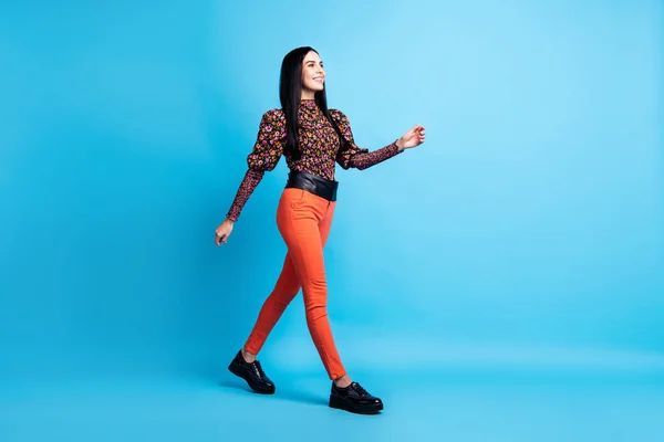 Fotografie okouzlující dáma chodit nosit květinový tisk košile kalhoty obuv izolované modré barvy pozadí — Stock fotografie