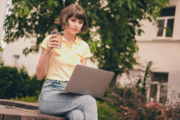 Foto di rigoroso millenario bruna signora lavoro laptop bere tè usura t-shirt jeans al di fuori nel parco — Foto Stock