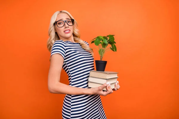 Foto retrato mulher loira usando óculos mantendo livro pesado pilha casa planta isolado vívido cor de laranja fundo — Fotografia de Stock