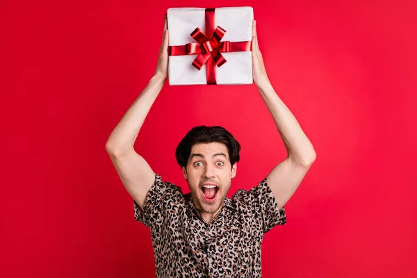 Foto von guter Laune funky lustig schreiend aufgeregt lächelnd heben Geschenk-Box präsentieren isoliert auf rotem Hintergrund — Stockfoto