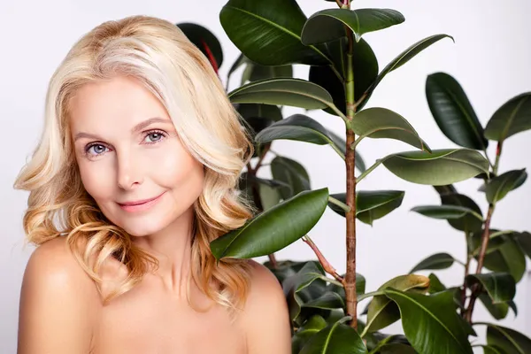 매력적 인 나이든 여성의 사진 행복 한 긍정적 인 미소 식물 회색 배경 위에 분리 된 완벽 한 천연 피부 — 스톡 사진