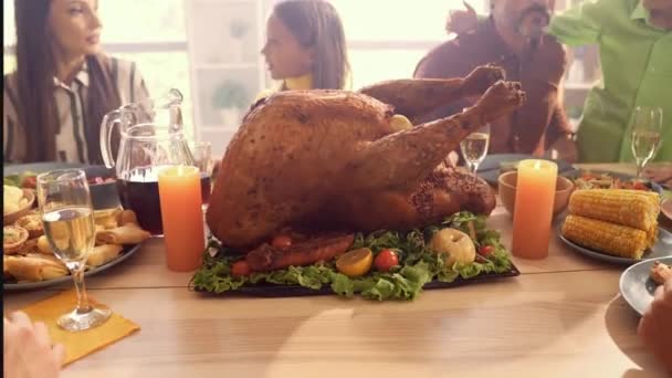 Agradável família alegre reunindo pessoas desfrutar de conversa jantar — Vídeo de Stock