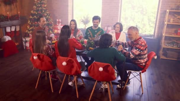 Motion view Χριστουγεννιάτικο οικογενειακό δείπνο συνάντηση στο εσωτερικό — Αρχείο Βίντεο