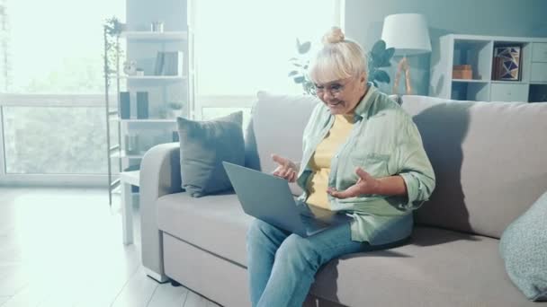 社交的な優しいおばあちゃん座って快適なソファネットブックビデオ会議 — ストック動画