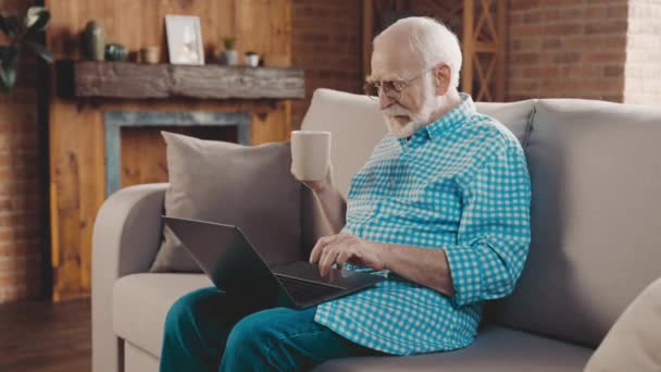 Zaostřený děda sedět pohodlný gauč práce netbook pc psaní drink káva — Stock video