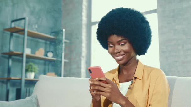 Blogueiro positivo senhora segurar telefone digitando mensagem — Vídeo de Stock