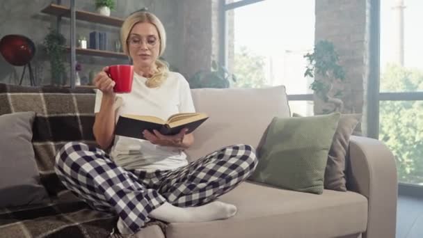 Ευτυχισμένη χαρούμενη ονειρεμένη κυρία κάθισε αναπαυτικά στον καναπέ απόλαυσε το Σαββατοκύριακο μελέτης πιες τσάι — Αρχείο Βίντεο