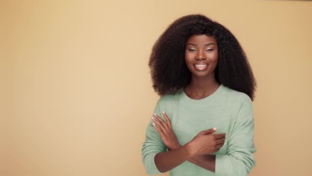 Lady chefe cruz braços start-up desenvolvimento isolado cor pastel fundo — Vídeo de Stock