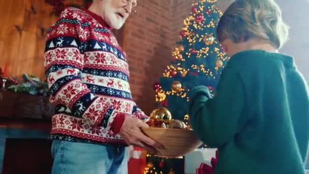 Alegre cuidado abuelo dar nietos siempre verde árbol juguetes decoración — Vídeo de stock