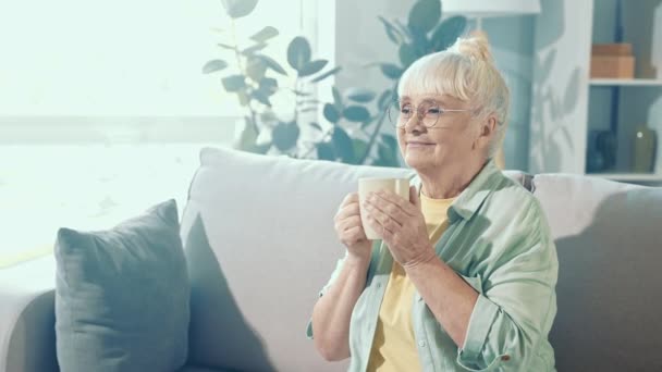 Contenta soñadora positiva abuela sentarse sofá disfrutar de aroma de café — Vídeo de stock