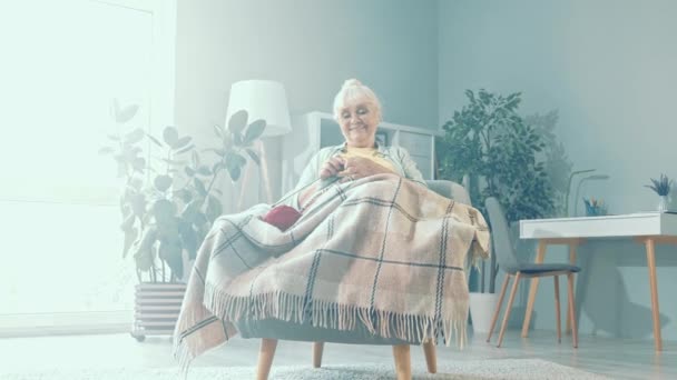 安详祥和的老太太坐在舒适的扶手椅上，拿着针织袜子 — 图库视频影像