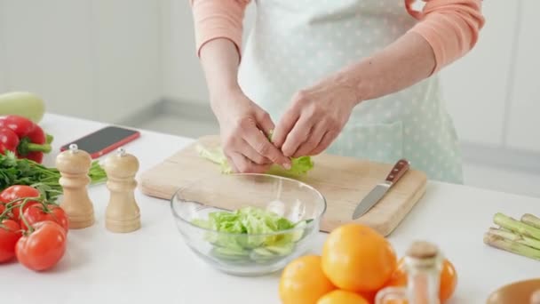 Καλλιεργημένη άποψη ώριμη συνταξιούχος κυρία χέρια προετοιμάσει σαλάτα βιταμινών — Αρχείο Βίντεο