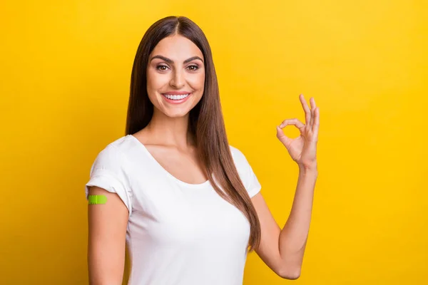 Foto di fresco giovane bruna signora spettacolo okey indossare bianco t-shirt isolato su sfondo di colore giallo — Foto Stock
