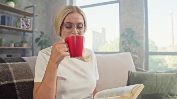 Encantadora dama curiosa sentarse acogedor sofá leer libro interesante beber té — Vídeo de stock