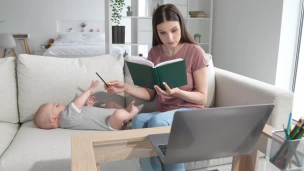 Entrepreneur dama sentarse sofá uso netbook leer guía libro cuidado niño interior — Vídeos de Stock