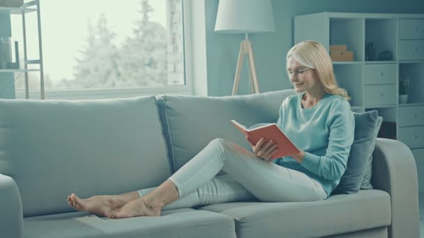 Rahat, huzurlu, neşeli, mutlu bayan rahat koltuğa otur, roman oku, sarılma kitabı oku. — Stok video