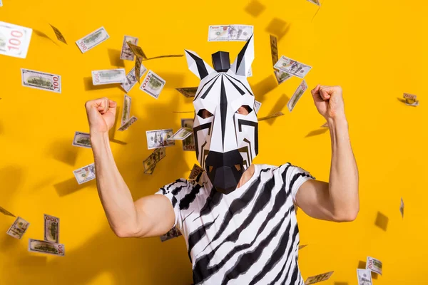 Photo of freak incognito guy in zebra mask fists up win billion salary money fly isolated over bright yellow color background — Stock Photo, Image